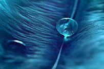 Droplets 2