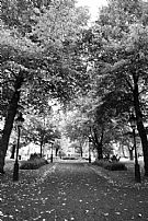 Gammal park