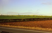 View from a bus