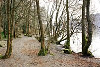 Lugnet