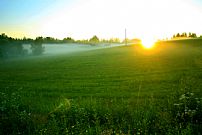 Summer sunset