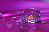 Droplets' soul